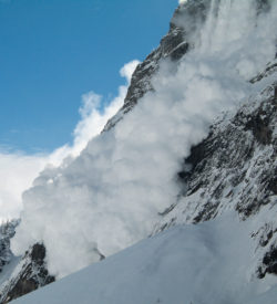 Avalanche Courses