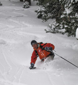 Mammoth Lakes Area