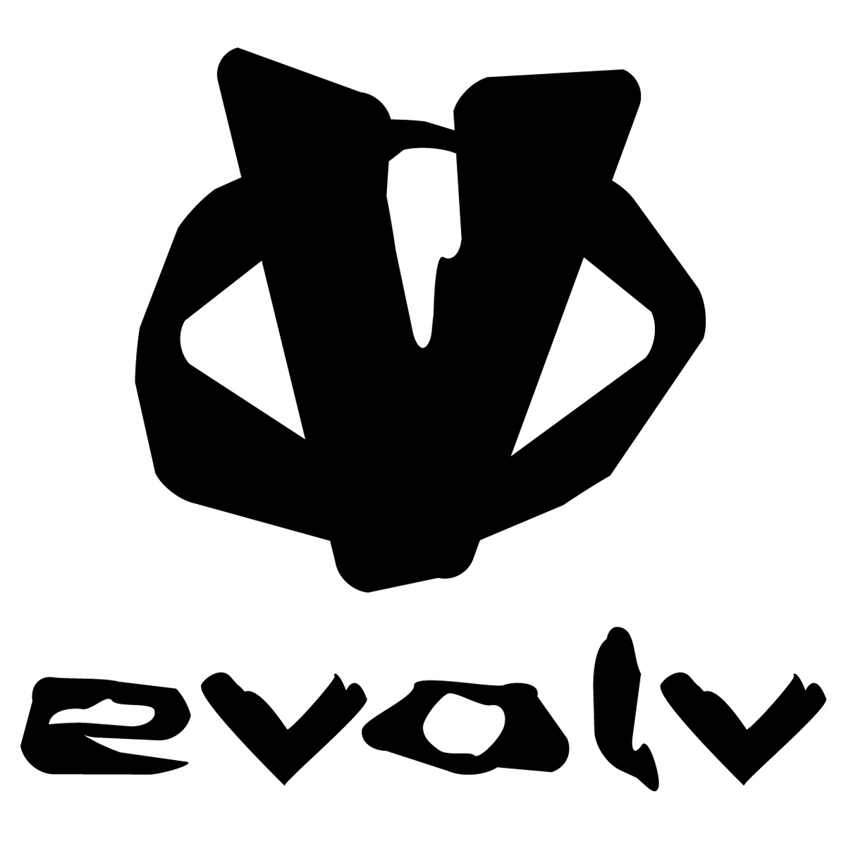 evolve climbing shoes logo