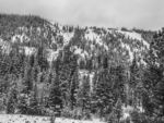 Lower June Mountain 12/6