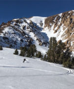 Cold pow in the low angle meadows