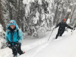 Storm riders learning the avalanche game on 2/2